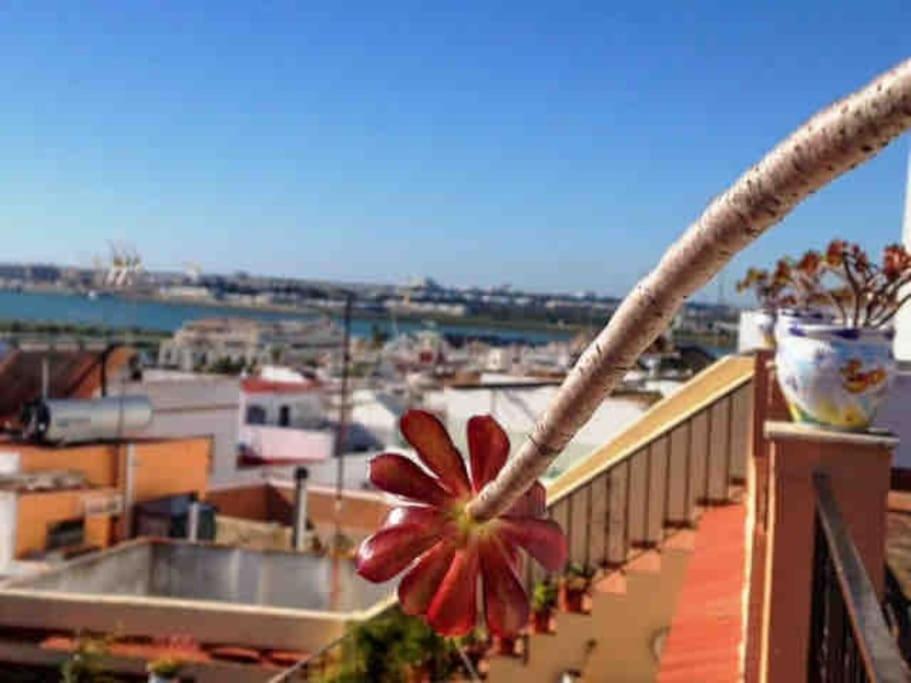 “Flor de Sal” Charming Traditional Andalusian House Ayamonte Bagian luar foto
